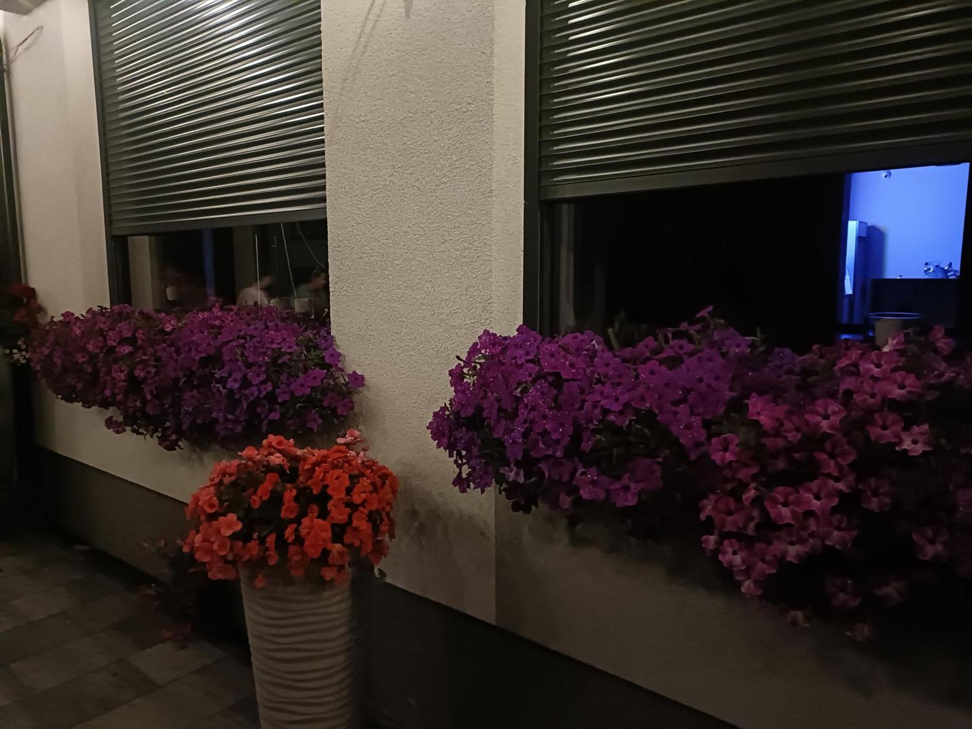 Lesne Niebo Otel Lubniewice Dış mekan fotoğraf